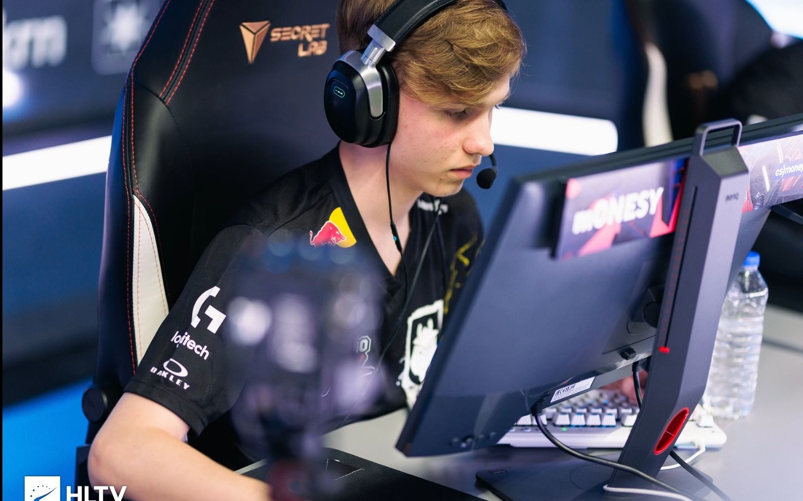 本赛季球队 本赛季球队