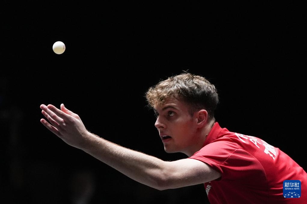 选手的专业 选手的专业